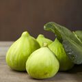 Green Fig Fragrance Oil - Trial Size