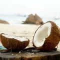 Island Coconut Fragrance Oil - 1.75 oz