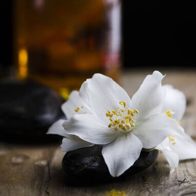 Jasmine Fragrance Oils