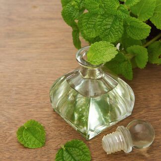 Peppermint Essential Oil - 1st Distill - Trial Size