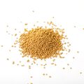 Gold Bursting Beads - 0.2 oz