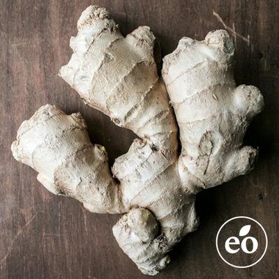 Ginger Essential Oil