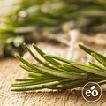 Rosemary Essential Oil - 1.75 oz