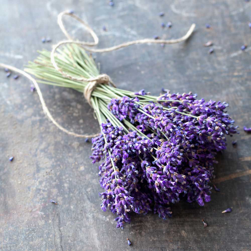 Lavender Absolute 50 Bramble Berry