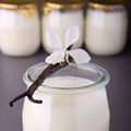 Vanilla Select Fragrance Oil - 2 oz