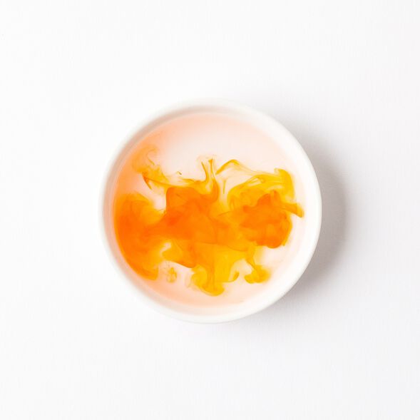 Peach Lab Color - small