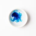 Brilliant Blue Lab Color - small