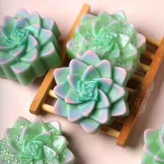 Colorful Succulent Soap Project