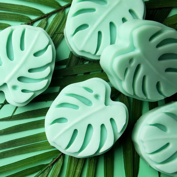 Monstera Leaf Lotion Bar Project