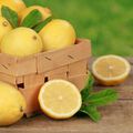 Sweet Meyer Lemon Fragrance Oil - 2 oz