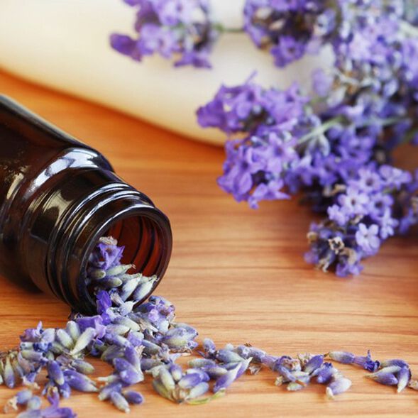 Lavender 40/42 Essential Oil - Trial Size