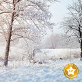 Fresh Snow Fragrance Oil - 1.75 oz