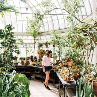 Woman in a greenhouse with all different types of plants