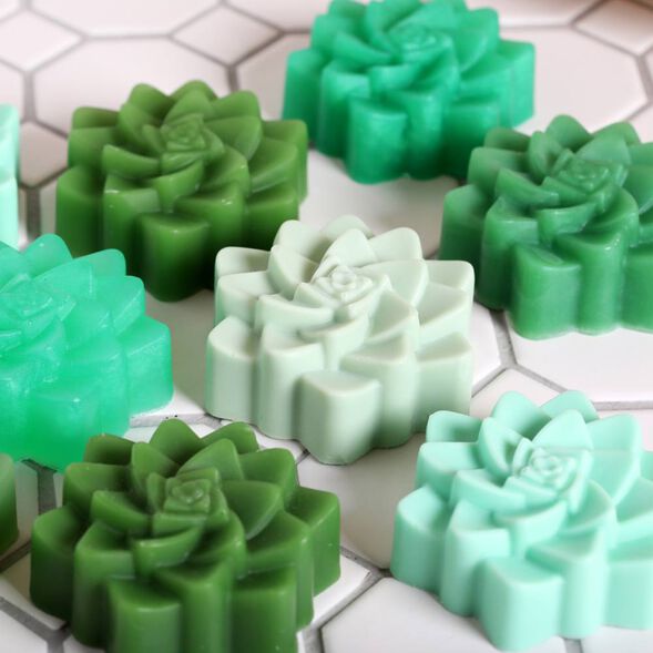 Succulent Soap Kit