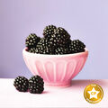 Bramble Berry Fragrance Oil - 2 oz
