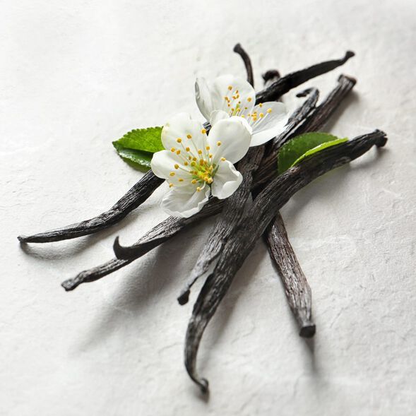 Natural Vanilla and Tonka Fragrance Oil