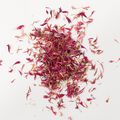 Pink Cornflower Petals - 3 oz