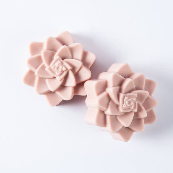 Two Succulent Soaps