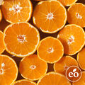 Orange 10X Essential Oil - Trial Size
