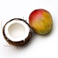 Coconut Mango Fragrance Oil - 1.75 oz