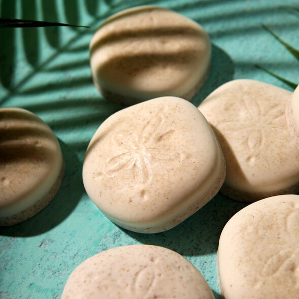 Sand Dollar Soap Project