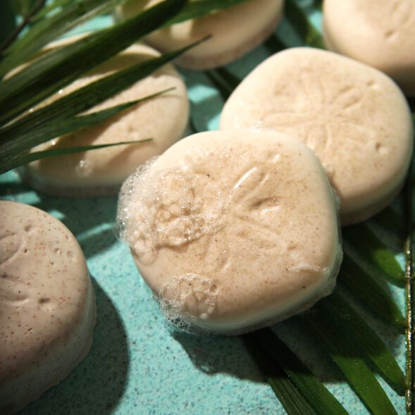 Sand Dollar Soap Project
