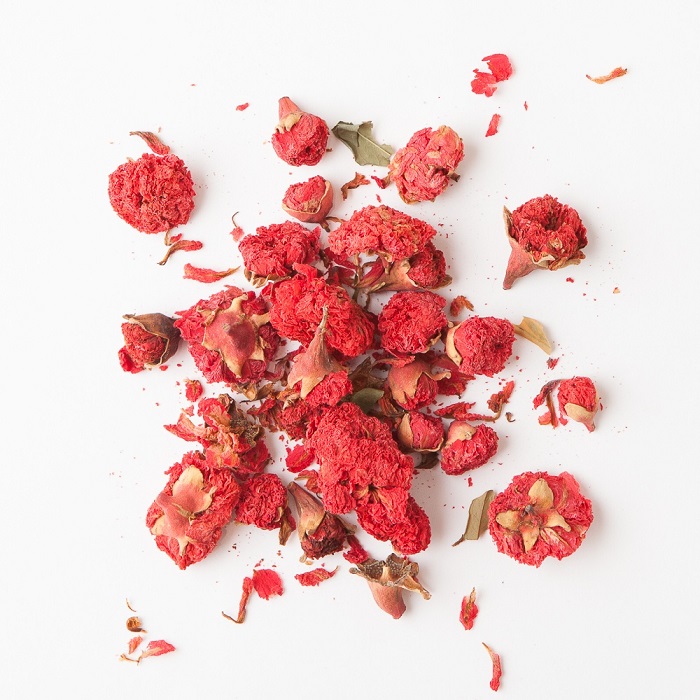 Dried pomegranate flowers on a white background
