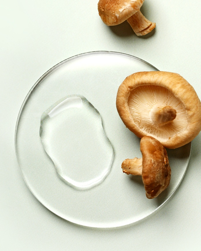 Reishi Mushroom for Skincare | Bramble Berry