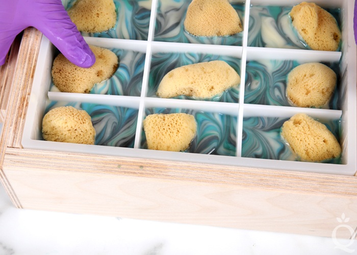 sea sponge cold process soap | bramble berry