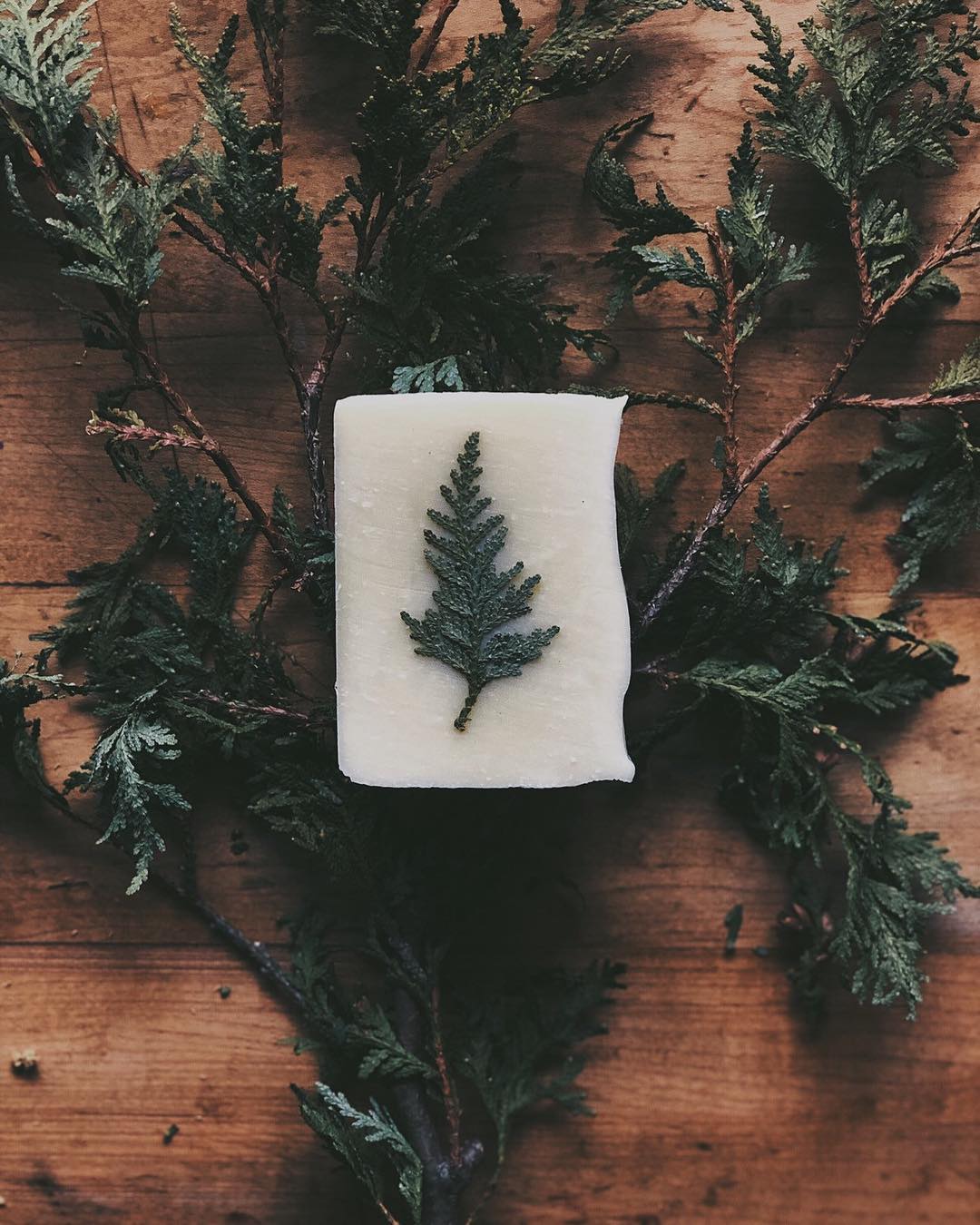 plain jane soap by miners daughter