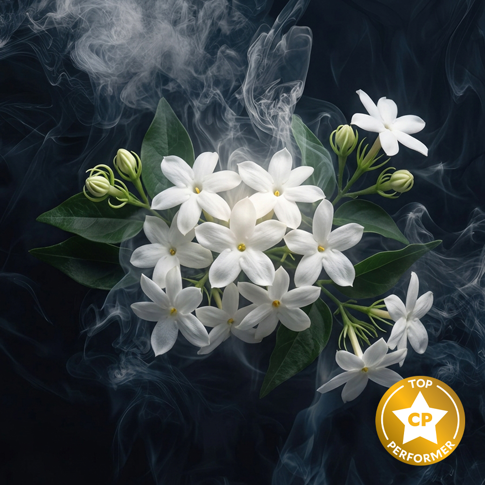Jasmine Embers Fragrance Oil