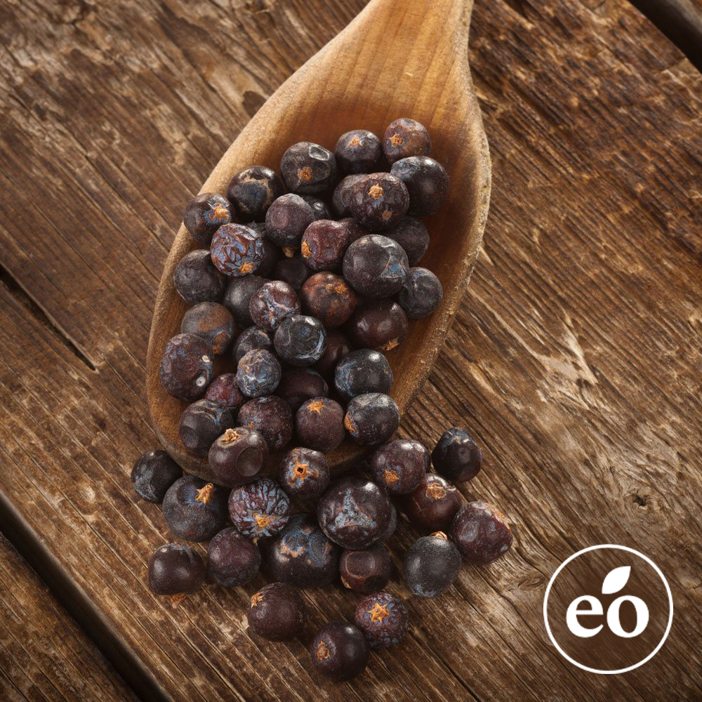 Juniper Berry Essential Oil image number null