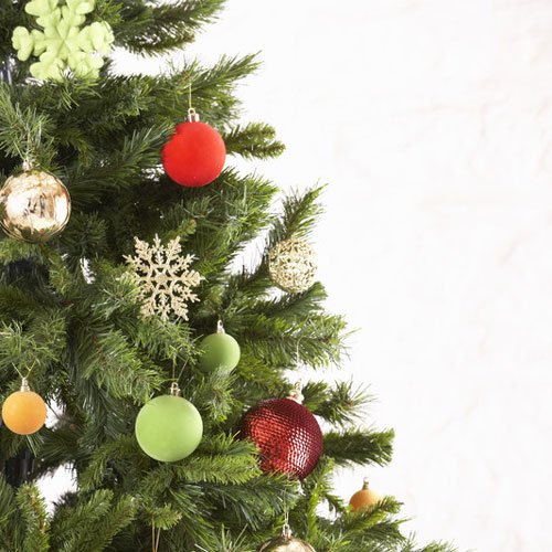 DISCONTINUED - Christmas Tree Fragrance Oil image number null
