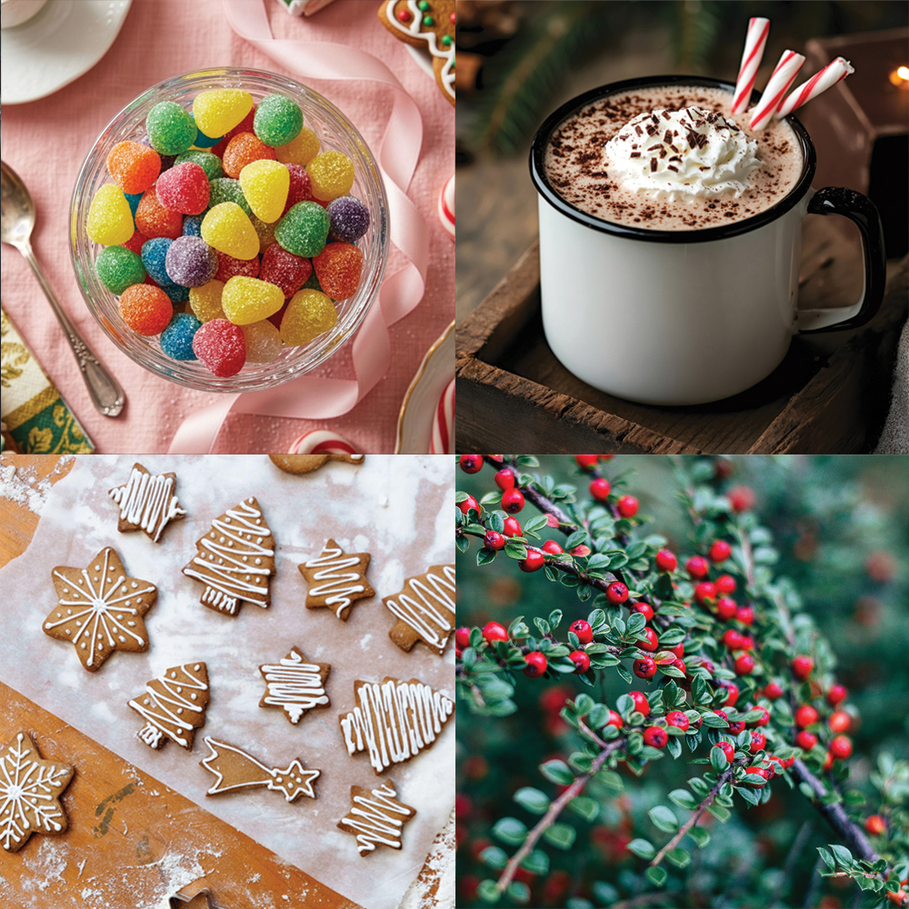 Winter Sweets Fragrance Collection image number null