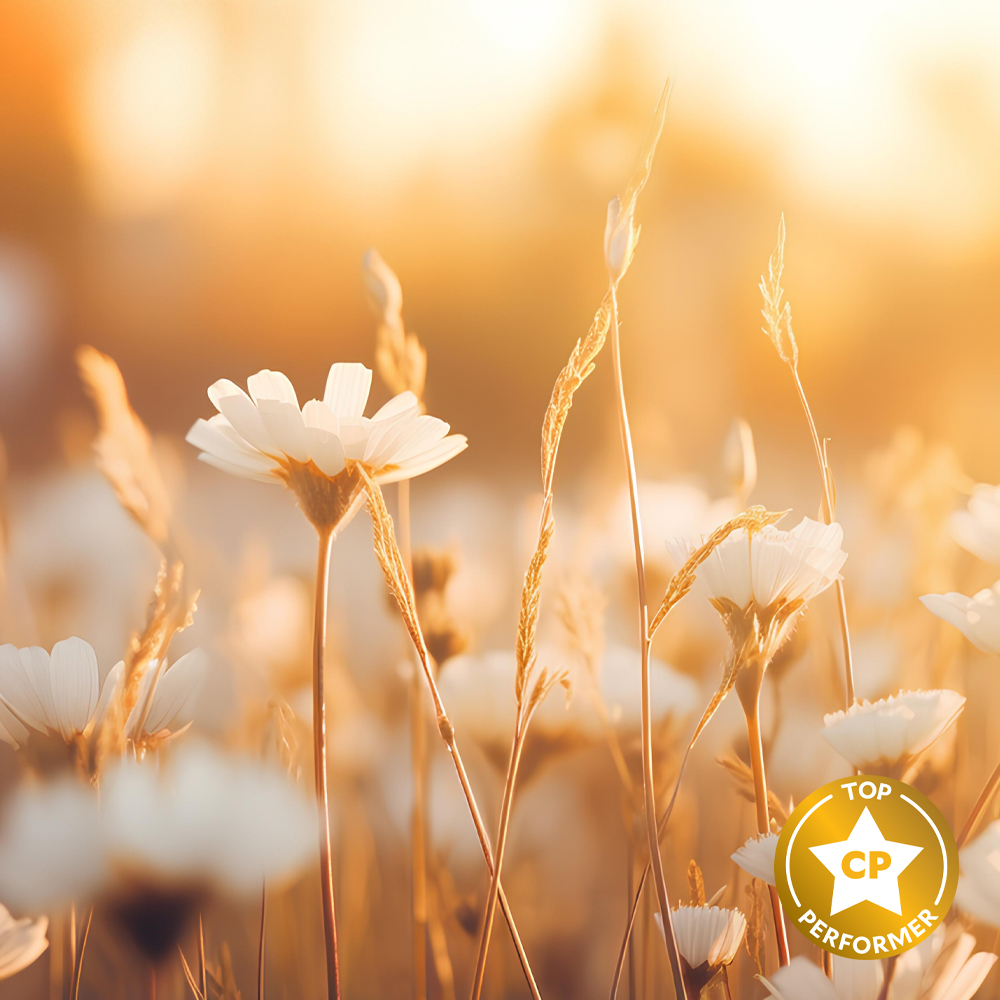 Golden Blooms Fragrance Oil